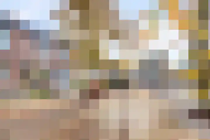 Fuchsialaan 35 Yerseke thumbnail 43