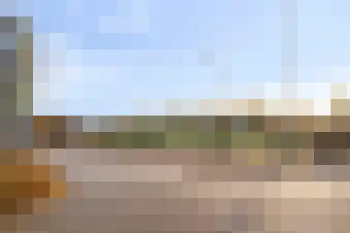 Fuchsialaan 35 Yerseke thumbnail 44