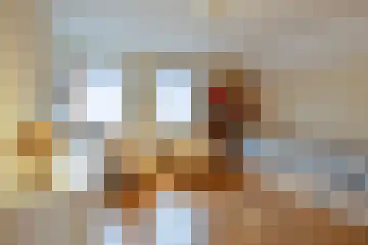 Fuchsiastraat 1 Rosmalen thumbnail 25
