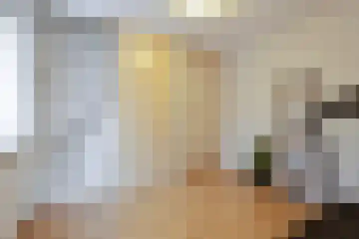 Fuchsiastraat 1 Rosmalen thumbnail 30