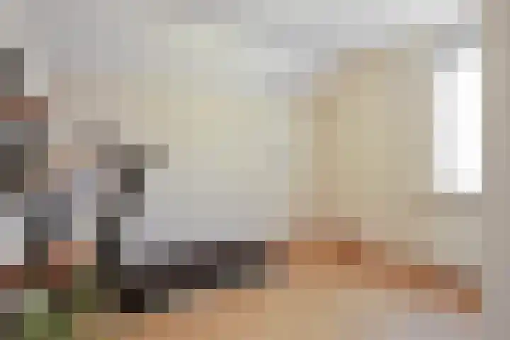 Fuchsiastraat 1 Rosmalen thumbnail 32