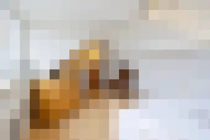 Fuchsiastraat 1 Rosmalen thumbnail 35