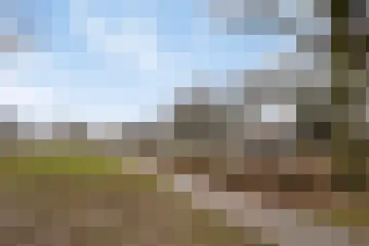 Fuchsiastraat 1 Rosmalen thumbnail 43
