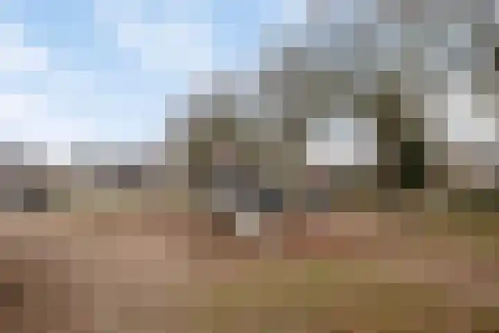 Fuchsiastraat 1 Rosmalen thumbnail 44