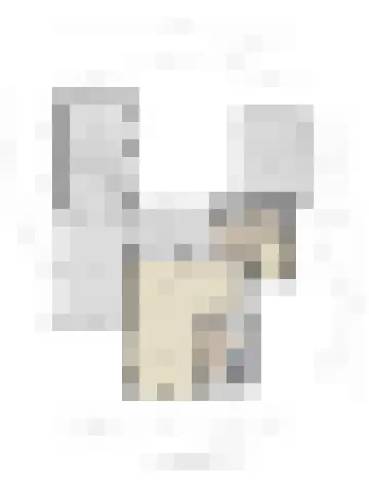 Fuchsiastraat 1 Rosmalen thumbnail 50