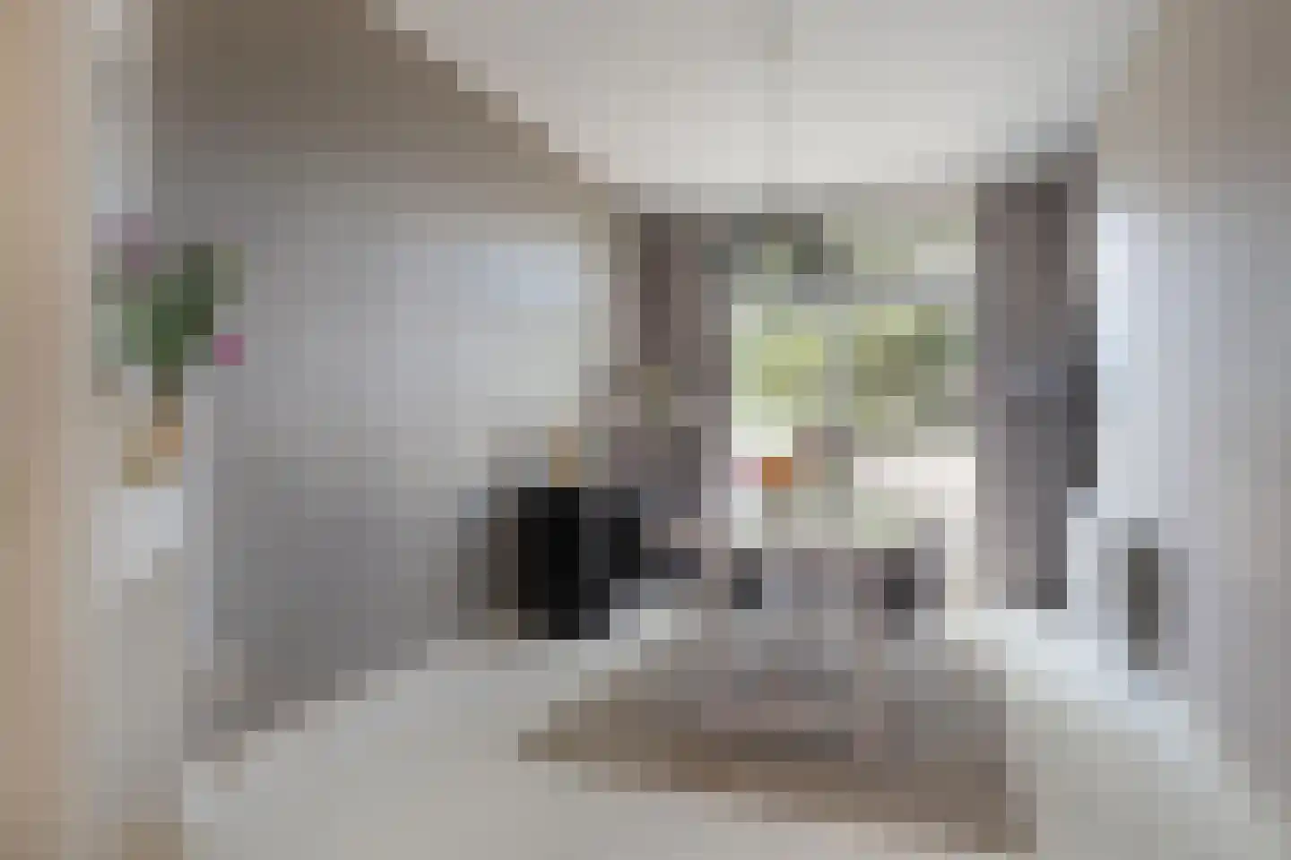 Fuchsiastraat 13 Den Haag thumbnail 19
