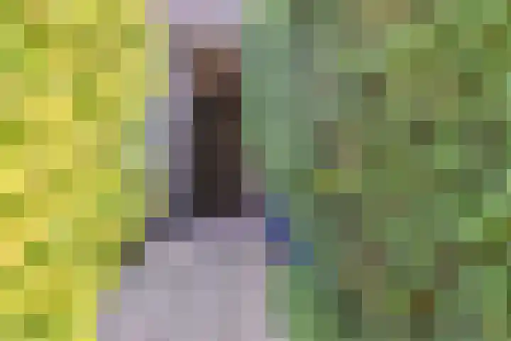 Fuchsiastraat 14 Den Haag thumbnail 26
