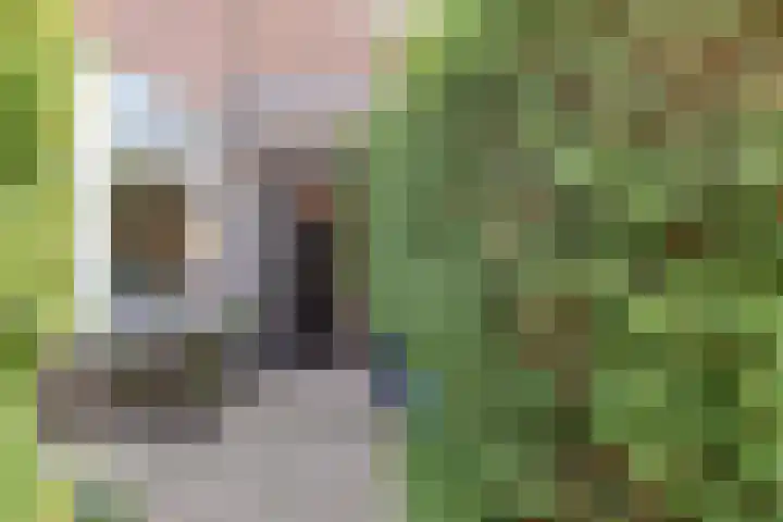 Fuchsiastraat 14 Den Haag thumbnail 27