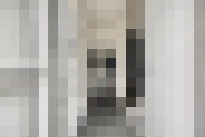 Fuchsiastraat 14 Doesburg thumbnail 10
