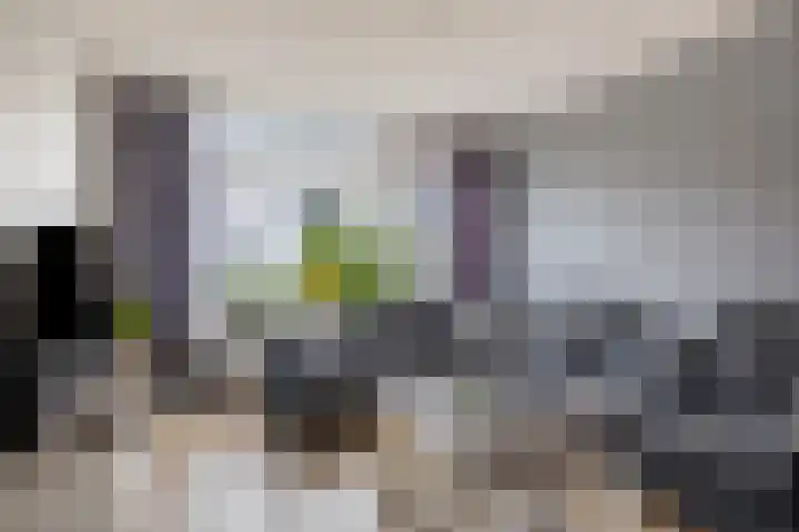 Fuchsiastraat 14 Doesburg thumbnail 11