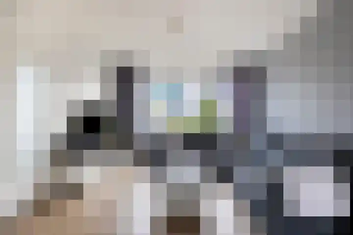Fuchsiastraat 14 Doesburg thumbnail 12