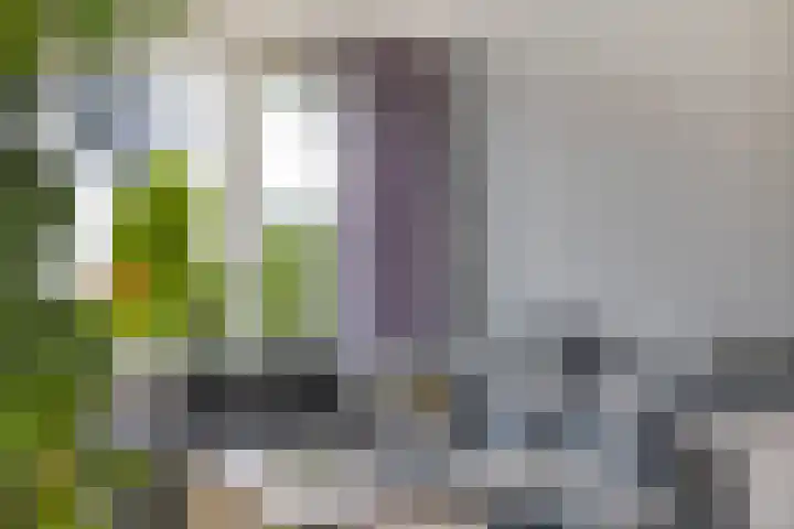 Fuchsiastraat 14 Doesburg thumbnail 13