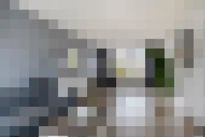 Fuchsiastraat 14 Doesburg thumbnail 14
