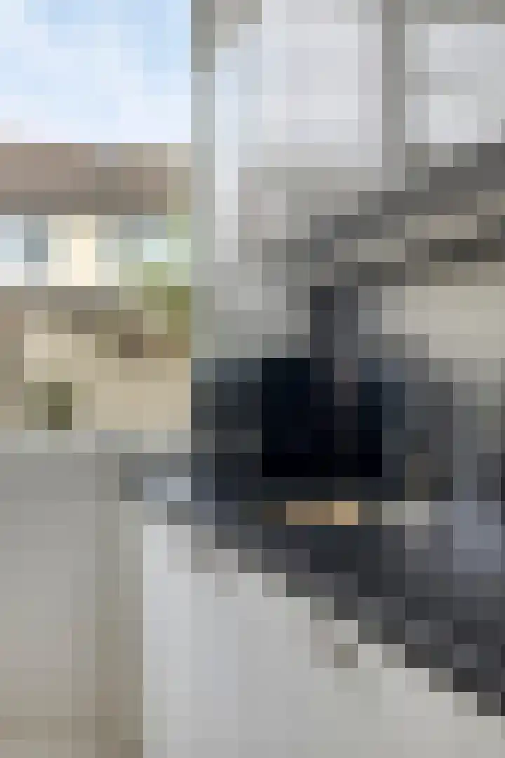 Fuchsiastraat 14 Doesburg thumbnail 20