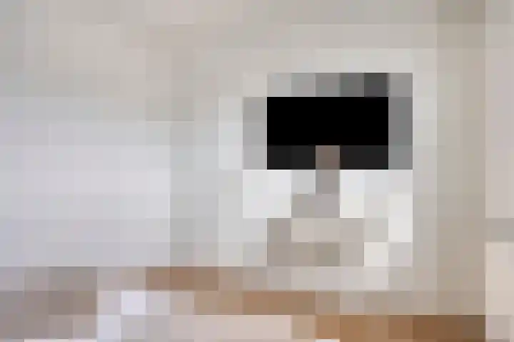 Fuchsiastraat 14 Doesburg thumbnail 24