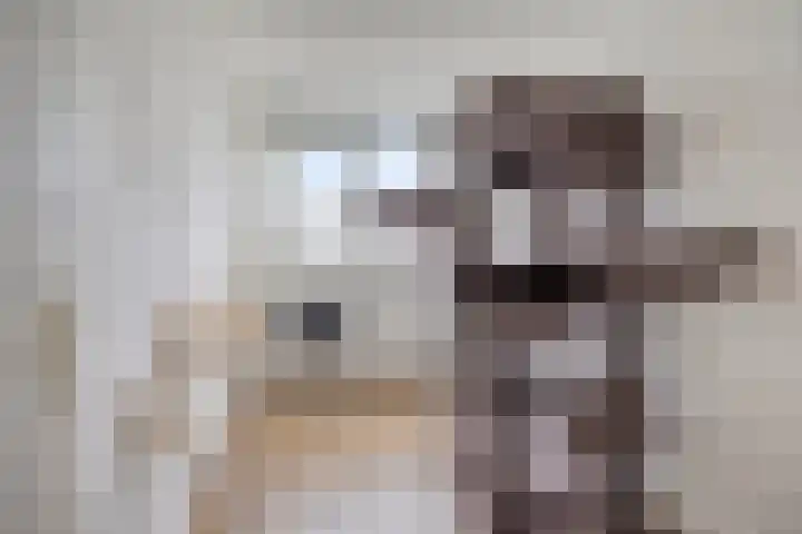Fuchsiastraat 14 Doesburg thumbnail 27