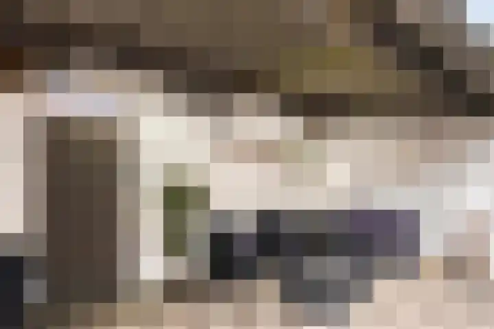 Fuchsiastraat 14 Doesburg thumbnail 42