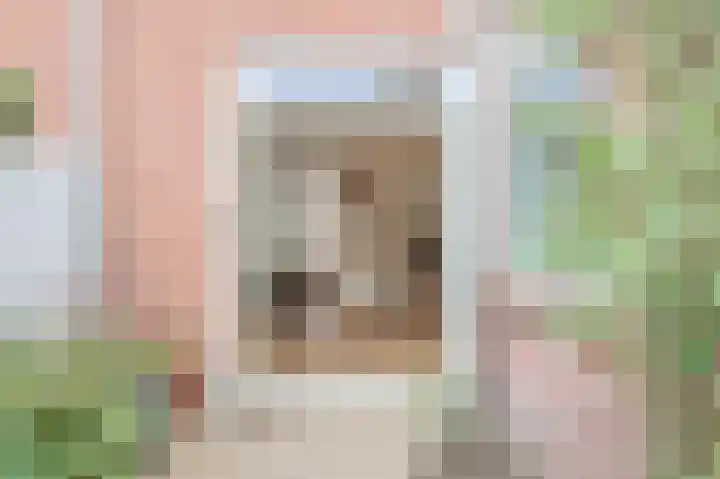 Fuchsiastraat 15 Eindhoven thumbnail 16
