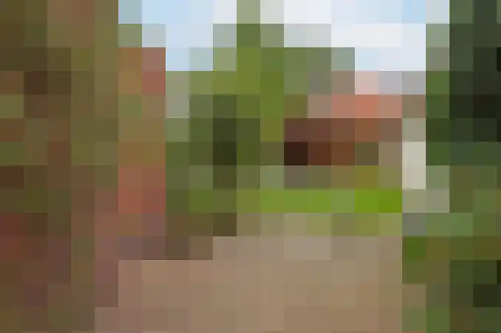 Fuchsiastraat 15 Eindhoven thumbnail 17