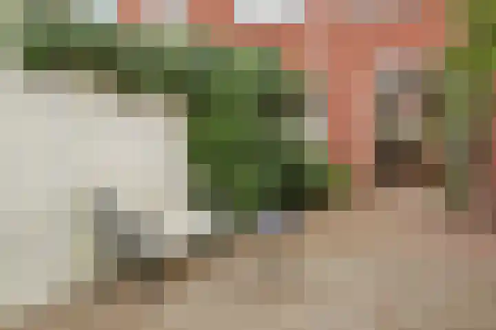 Fuchsiastraat 15 Eindhoven thumbnail 21