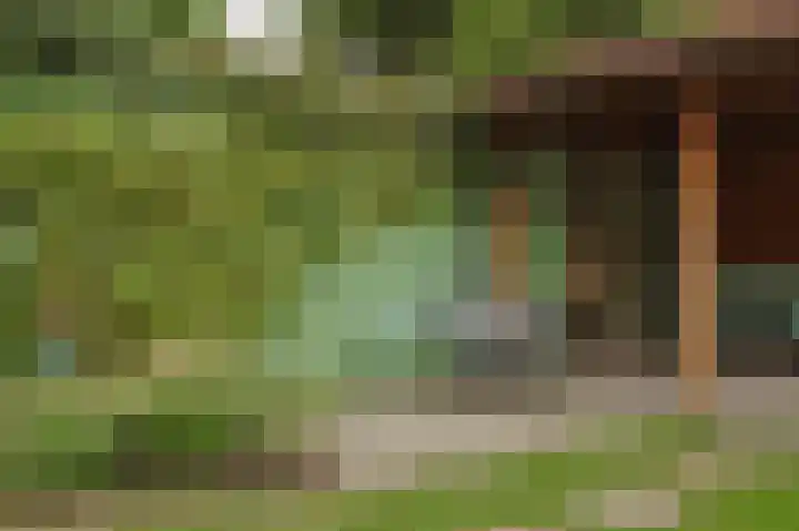 Fuchsiastraat 15 Eindhoven thumbnail 22