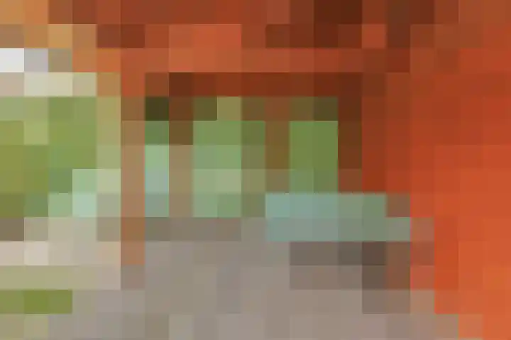 Fuchsiastraat 15 Eindhoven thumbnail 24