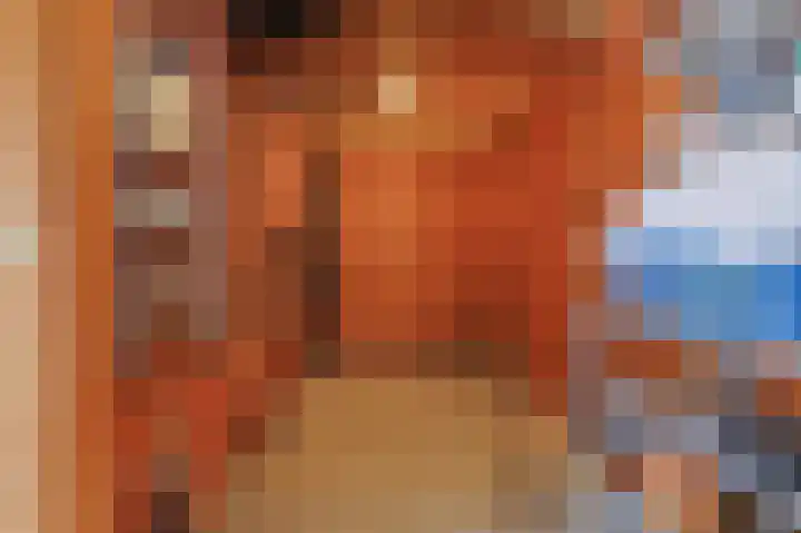 Fuchsiastraat 15 Eindhoven thumbnail 25