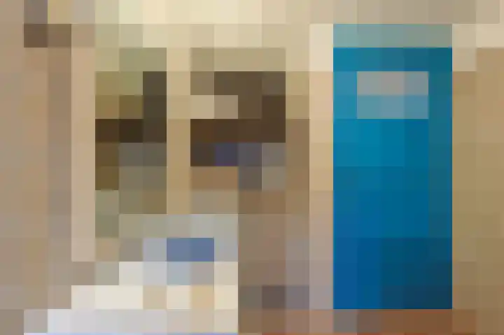 Fuchsiastraat 15 Eindhoven thumbnail 31
