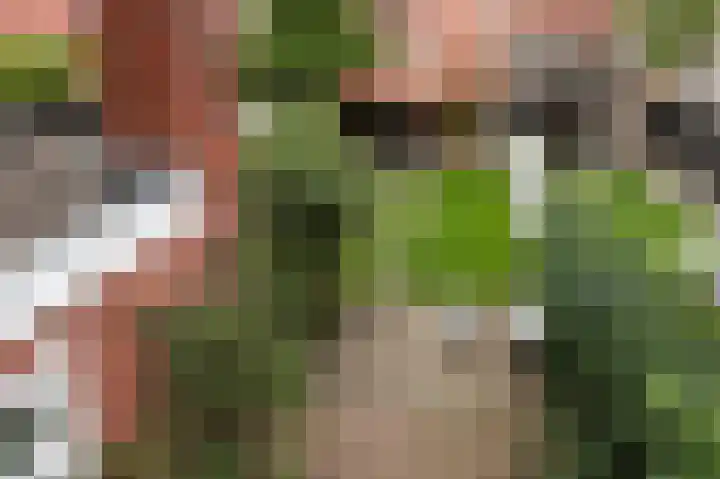 Fuchsiastraat 15 Eindhoven thumbnail 33