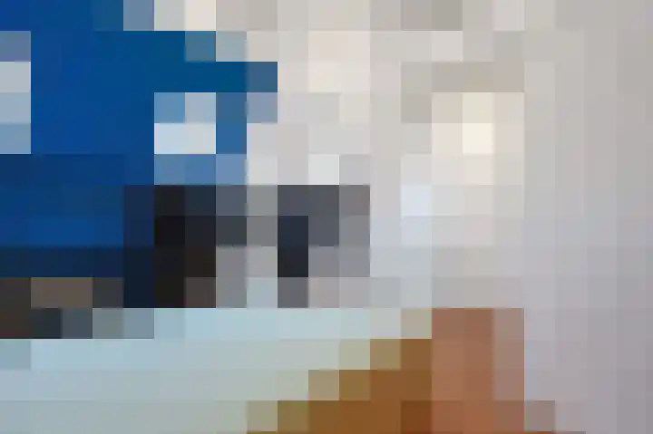 Fuchsiastraat 15 Eindhoven thumbnail 36