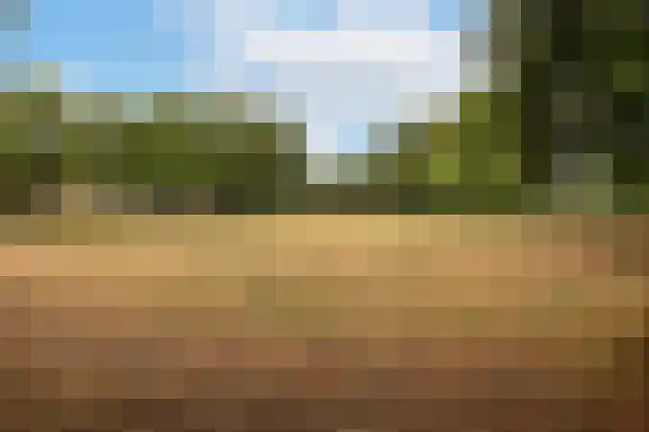Fuchsiastraat 15 Eindhoven thumbnail 38