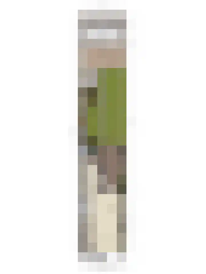 Fuchsiastraat 15 Eindhoven thumbnail 39