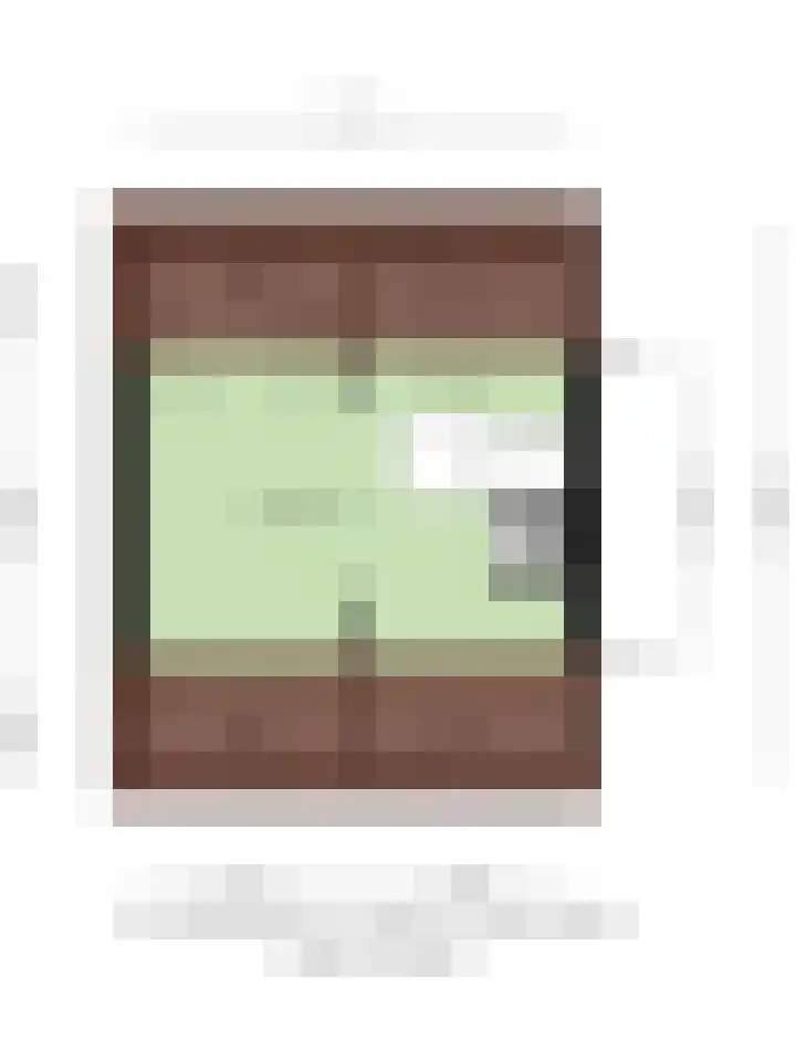 Fuchsiastraat 15 Eindhoven thumbnail 42