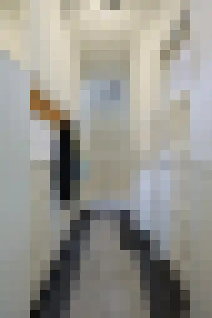 Fuchsiastraat 15 Eindhoven thumbnail 5