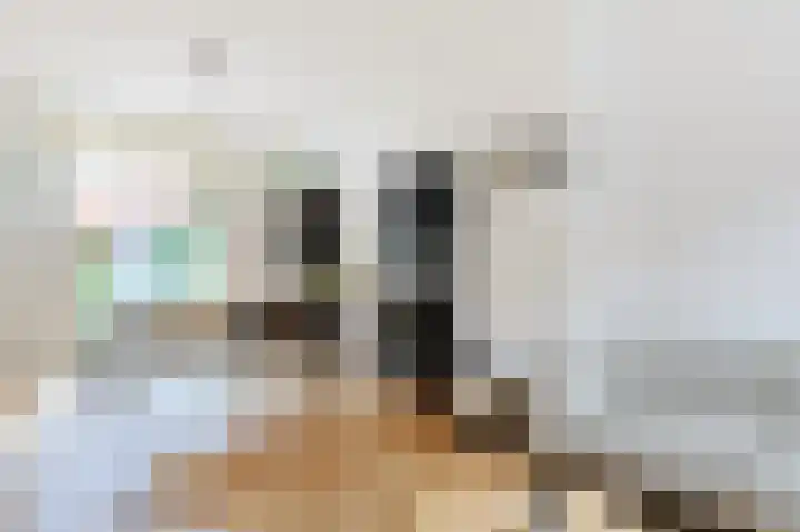 Fuchsiastraat 15 Eindhoven thumbnail 6