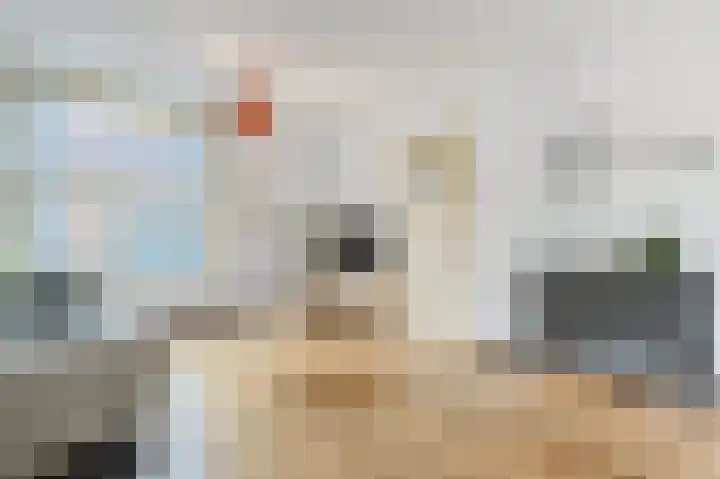 Fuchsiastraat 15 Eindhoven thumbnail 7