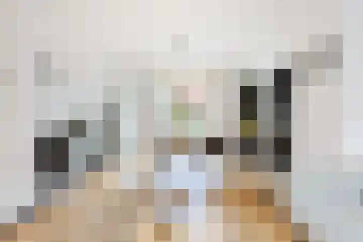 Fuchsiastraat 15 Eindhoven thumbnail 8