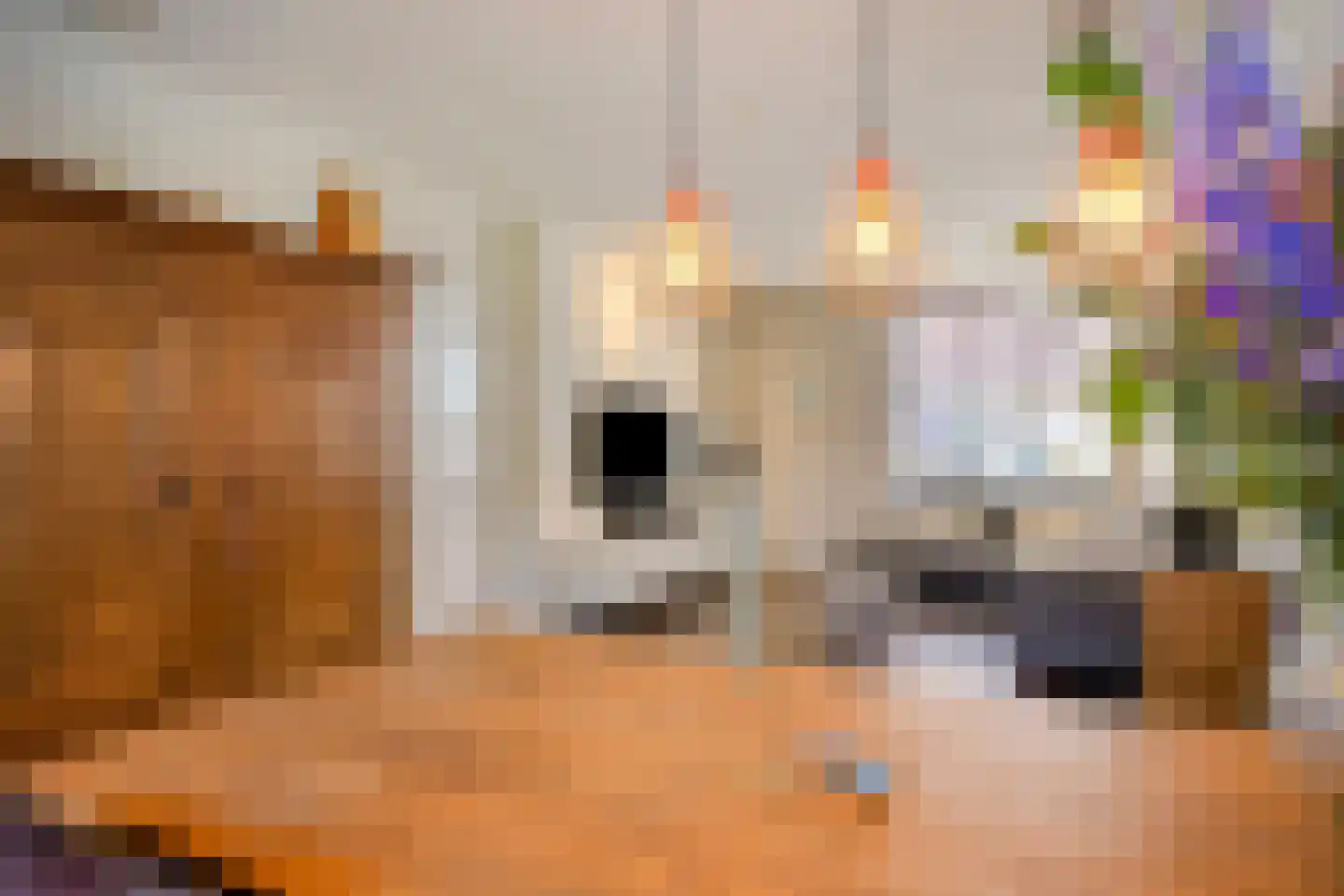 Fuchsiastraat 17 Eindhoven thumbnail 14