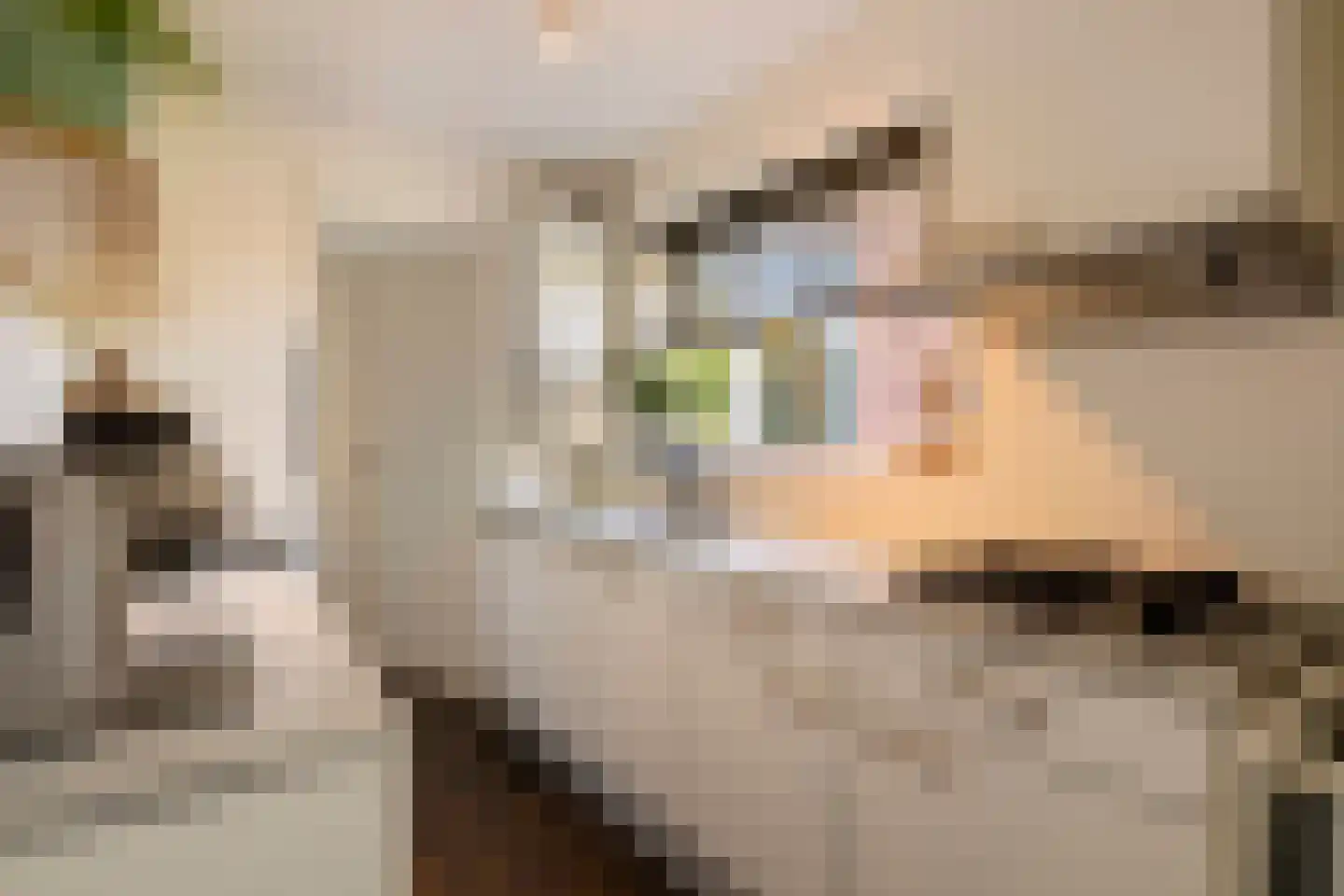 Fuchsiastraat 17 Eindhoven thumbnail 18