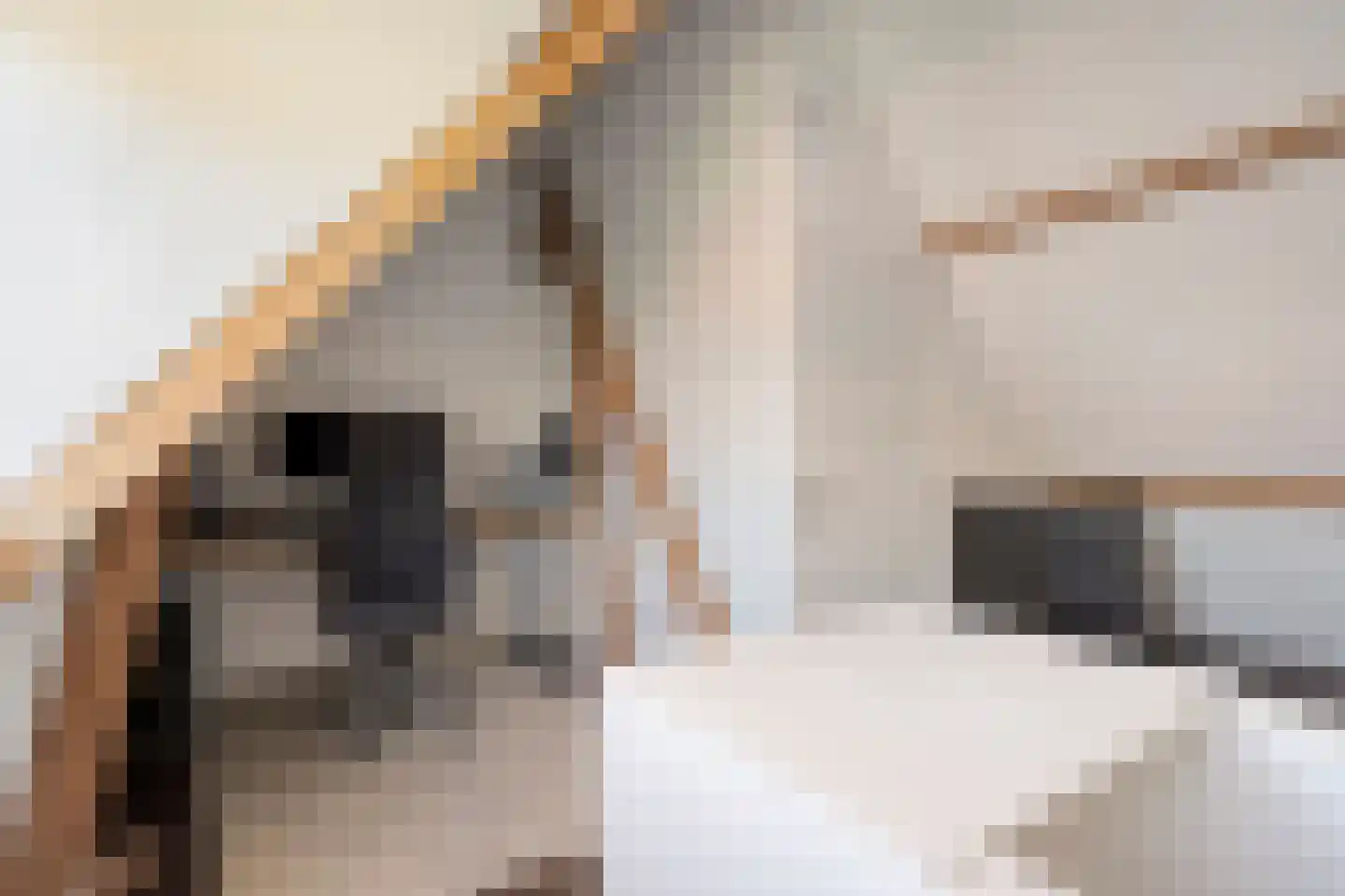 Fuchsiastraat 17 Eindhoven thumbnail 30