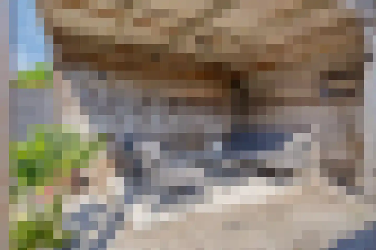 Fuchsiastraat 17 Eindhoven thumbnail 34