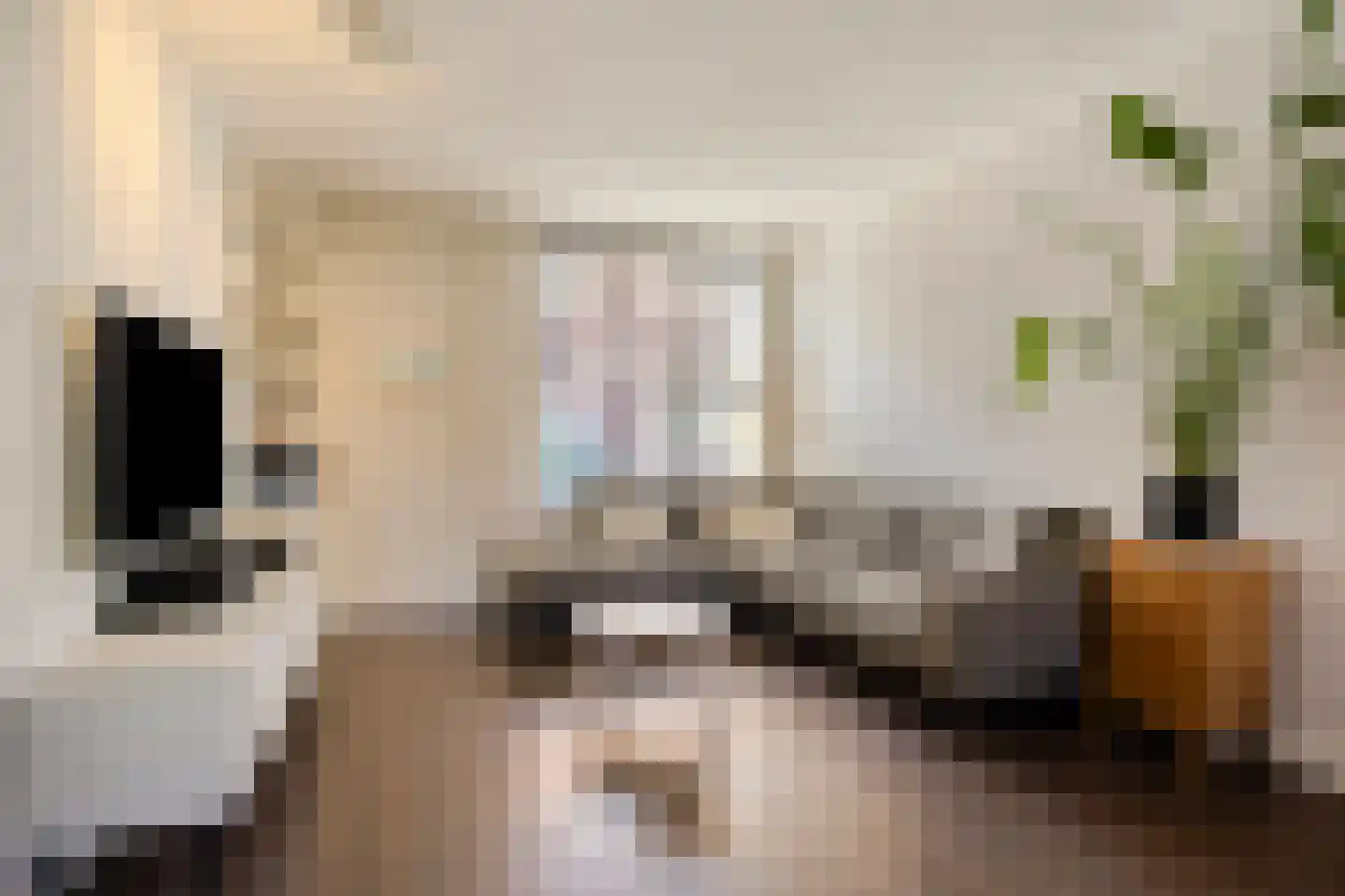 Fuchsiastraat 17 Eindhoven thumbnail 8