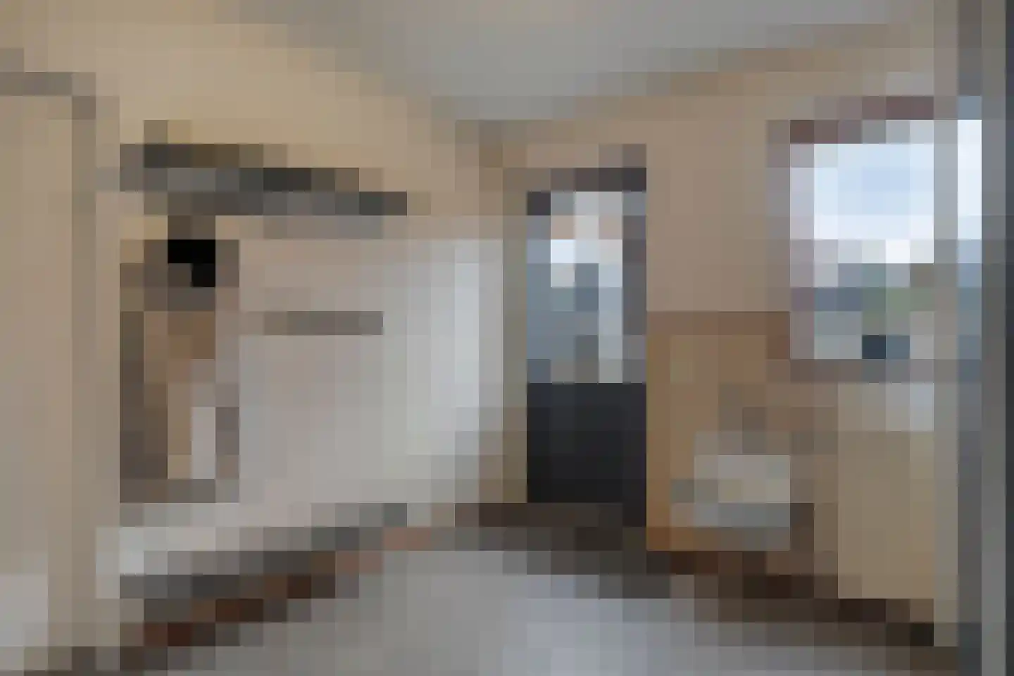 Fuchsiastraat 2 Heerde thumbnail 14