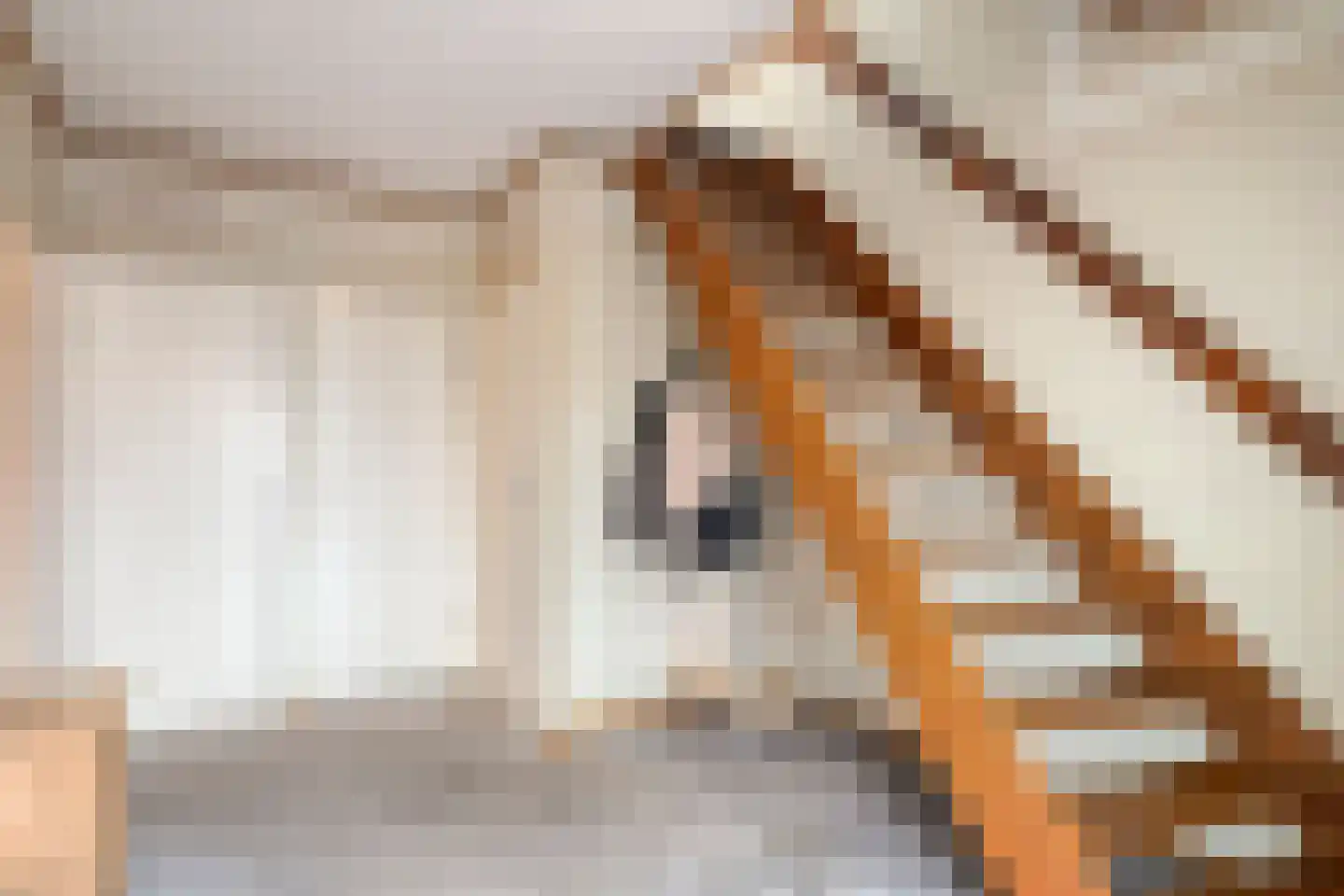 Fuchsiastraat 2 Heerde thumbnail 16
