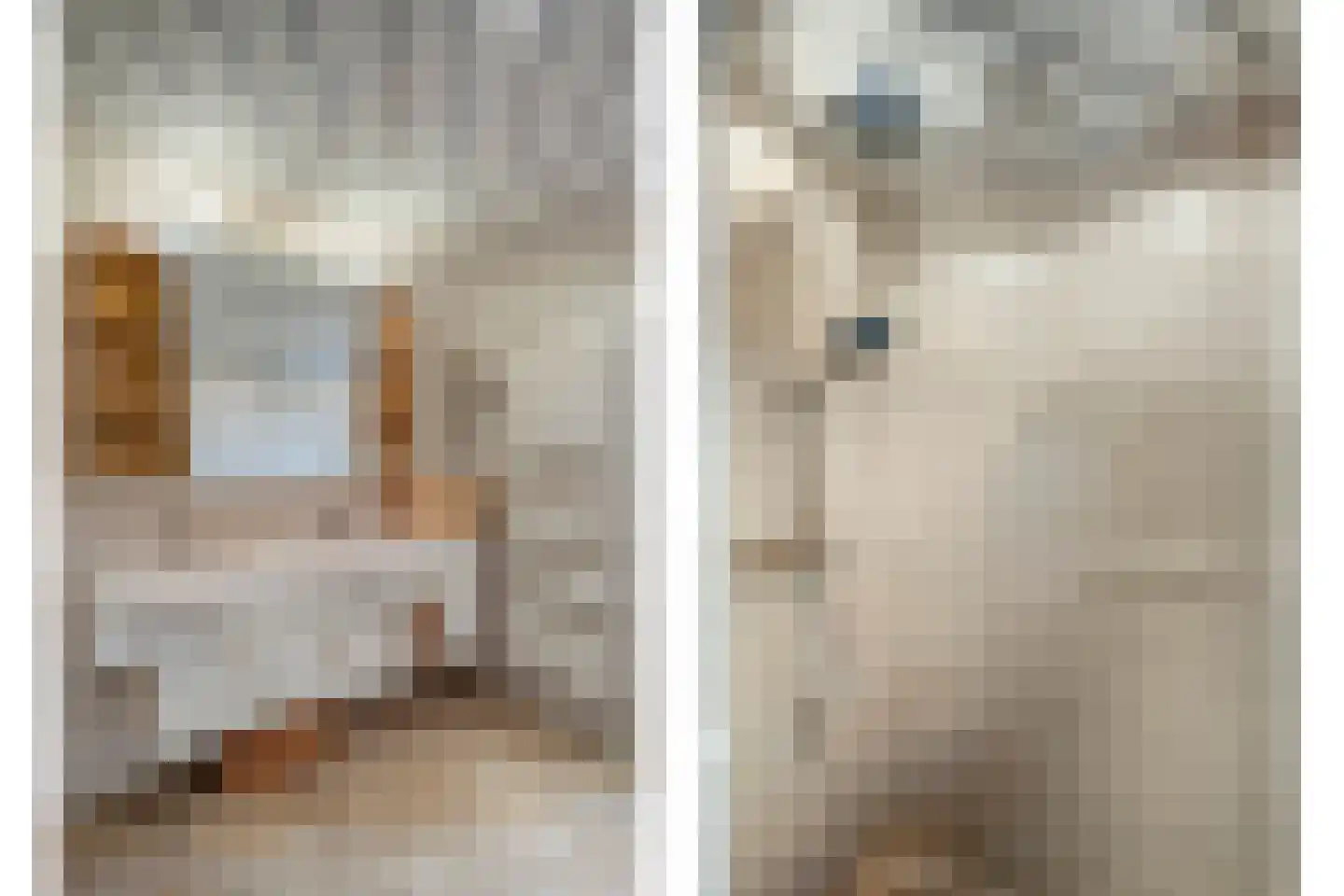 Fuchsiastraat 2 Heerde thumbnail 22