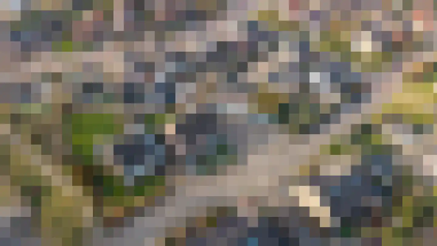 Fuchsiastraat 2 Heerde thumbnail 32