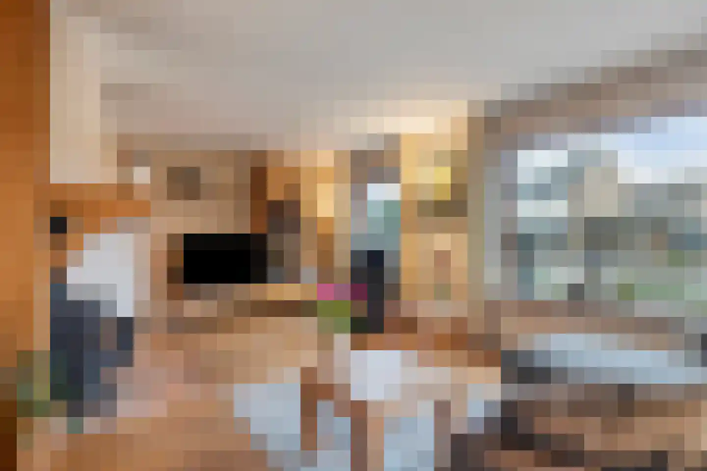 Fuchsiastraat 2 Heerde thumbnail 7
