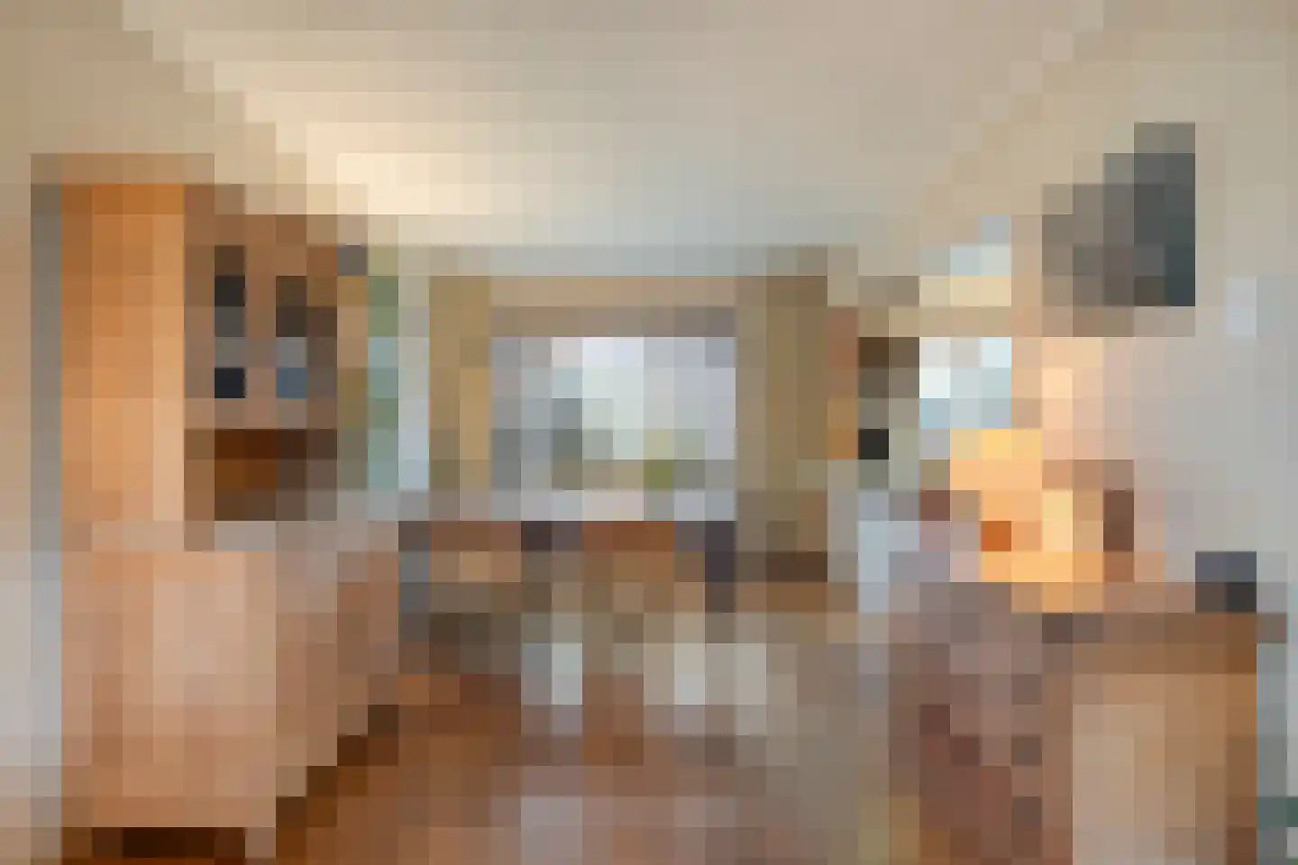 Fuchsiastraat 2 Heerde thumbnail 9