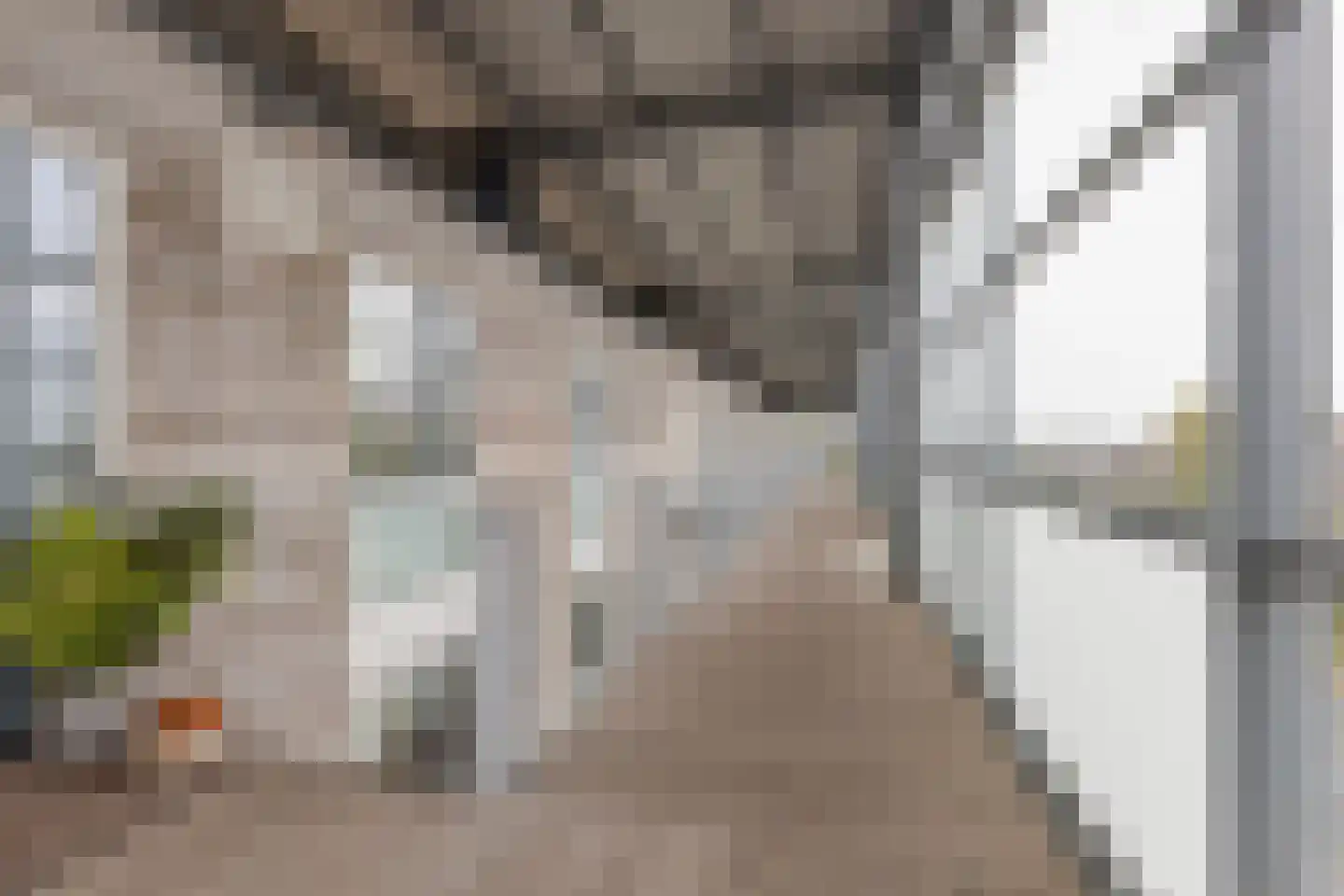 Fuchsiastraat 21 Aalsmeer thumbnail 34