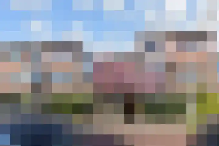 Fuchsiastraat 25 Den Haag thumbnail 33